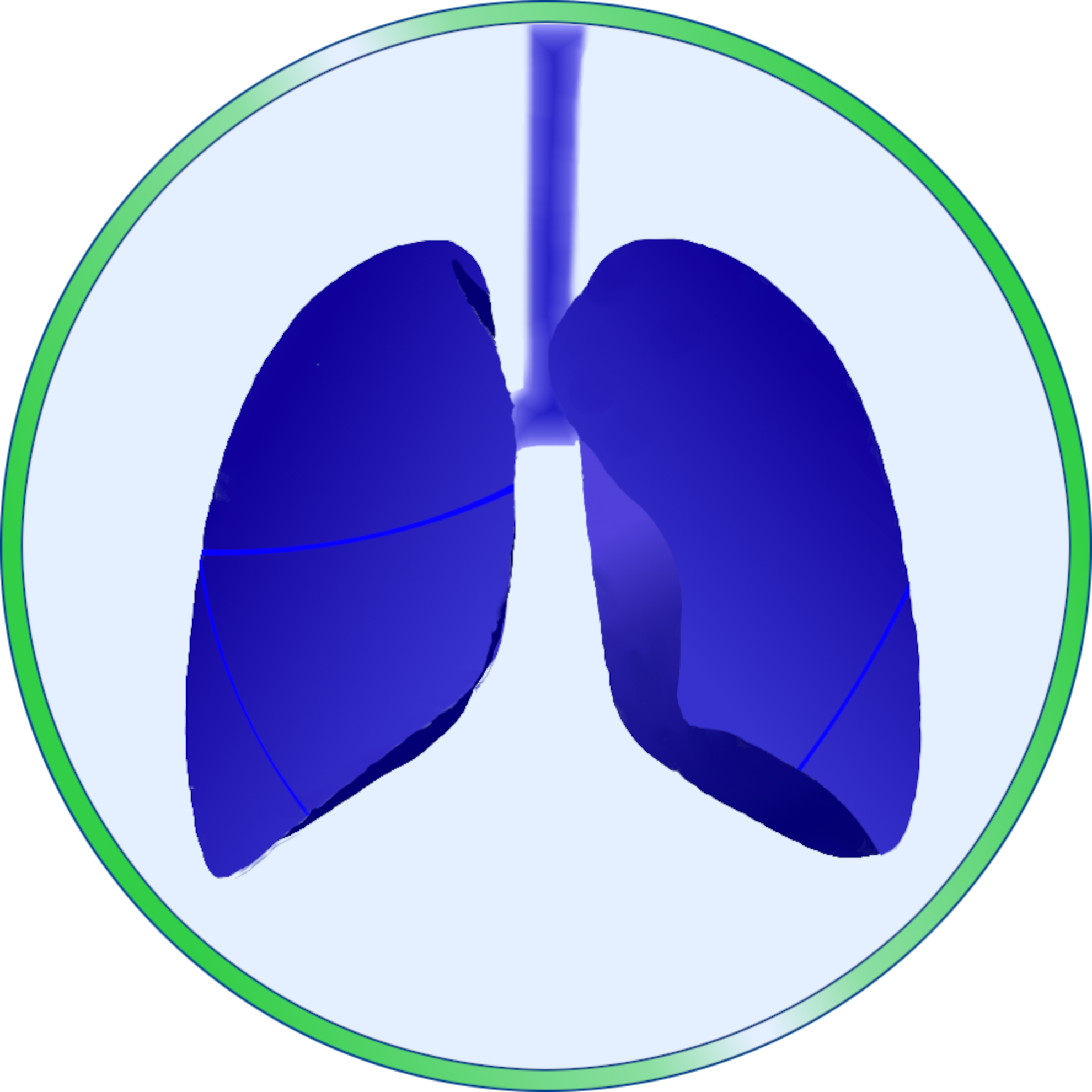 Lungenfacharzt Dr. Richard Schmidt Logo